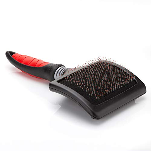 Mikki Brosse Carde Nifty Très Grande pour Chien