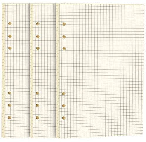 FANDAMEI A5 Papier Kariert, 135 Blätter 6 Löcher A5 Nachfüllpapier Nachfüllbare Refill Paper Nachfülleinlagen für A5 Notizbuch, Tagbuch, Skizze, Malerei