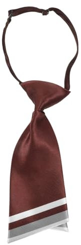 VALICLUD Vorgebundene Krawatte Für Damen Mit Schnalle Verstellbare Krawatte Für Frauen Zum Anzug Geeignet Für Hochzeiten Abendpartys Und Bankette