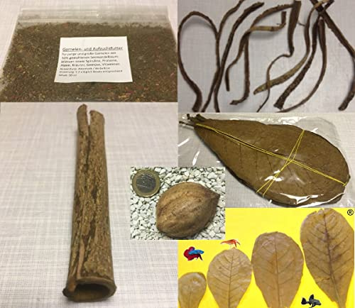 Set de badamier pour crevettes, écrevisses et autres - Nourriture feuilles, écorce, semences d'amande