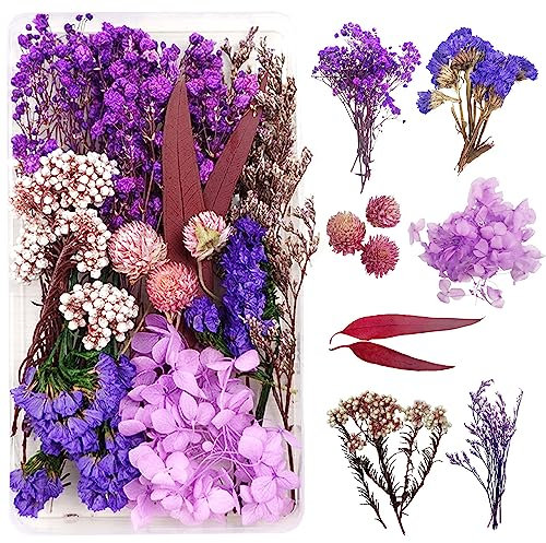 Fiori Secchi Decorativi per Resina Epossidica e Candele - Bouquet Fiori Secchi Scrapbooking Decorazioni Floreali (Viola e Rosso)