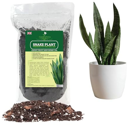 Premium Snake Plant Potting Soil Mix, Green Sansevieria Trifascatia Zeylanica Plants, Plant or Re-Pot Your Snake Plant - (4 Liters Bag)