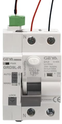 Diferencial Superinmunizado Rearmable SI 2P 40A 30mA 6Ka TIPO A. Interruptor Diferencial Auto Rearmable Super inmunizado. Disyuntor Rearme Automático carril Din.