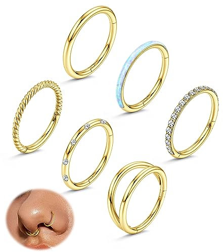 Adramata 6Pcs 18G Nasenpiercing Ring Septum Chirurgenstahl Nostril Helix Conch Tragus Ohr Gold Silber Nasenring Set für Damen Herren