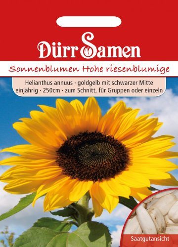 Dürr-Samen - Sonnenblume Hohe riesen goldgelb mit schwarzer Mitte Saatgut