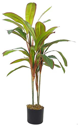Leaf Hoja 100 cm Planta Tropical en Maceta, Dracaena Grande