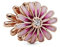 PANDORA ROSE Charm Gänseblümchen rosé-vergoldet 788775C01