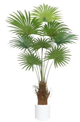 Krukväxter 160 cm simulerade gröna växter, palmkrukväxter falska träd inomhus vardagsrum Fönster dekorationer och prydnadsföremål Bonsai