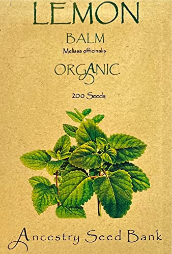 Organic ❁ Lemon Balm ❁ 200 Seeds Heirloom Herb - Non GMO