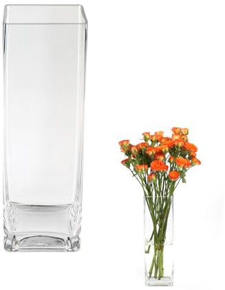 ASSRECT Blumenvase Glas 25cm Quadratische Glasvase für Tischdeko Klarglasvase Moderne Dekorative Vasen für Home Office Hochzeit Dekor Geschenk