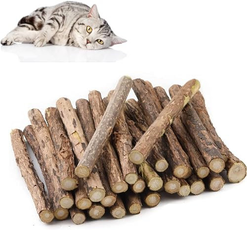 Matatabi Katzen Kauhölzer, Katzenminze Sticks,Matatabi-Kausticks Katzenspielzeug,32 Stück Katzenminze Sticks, Katzensticks Zur Zahnreinigung Katzen Zahnpflege Spielzeug Dental Kausticks Cat Chewing