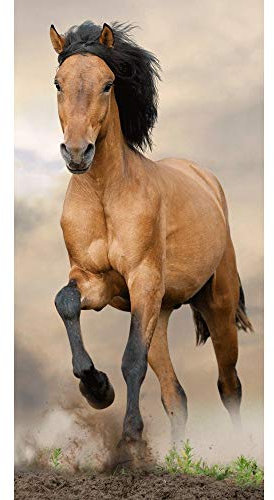 Jerry Fabrics Horse Beach Towel Brown, Badetuch, Strandtuch, Pferdemotiv, Hengst, 70 cm x 140 cm, 100% Baumwolle