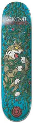 Element Trapped Tabla Skateboard (8 - Westgate)