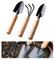 Mini Gartengeräte 3 Stück Set, 3 Stück Sukkulenten Gartengeräte, Holzgriff Handheld Mini Kelle, Schaufel, Harke, Bonsai Werkzeuge, für Innen-und Außenbereich Bodenlockerung