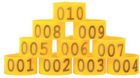 Annadue 100 Fasce per Zampe di Pollame Numerate per Polli, Anatre, Oche, Anelli di Plastica da 16 Mm, Viola, 001-100, Targhette Identificative per Uccelli per Forniture di Pollame da Fattoria (YELLOW)