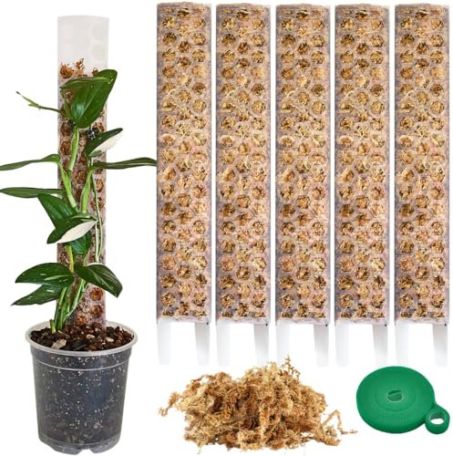 Moosstab für Monstera Rankhilfe Zimmerpflanzen Zubehör Set - 5 x Pflanzstäbe, Pflanzen Klettband & Moos - Optimiert für Aroiden - Kletterpflanzen Befestigung - 35 x 6 cm - Set