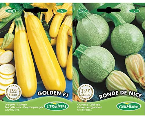 Germisem graines Courgette jaune GOLDEN F1 & graines Courgette RONDE DE NICE - 3g