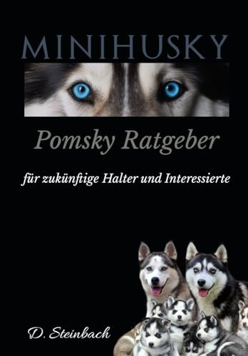 Minihusky der Pomsky Ratgeber für zukünftige Halter und Interessierte