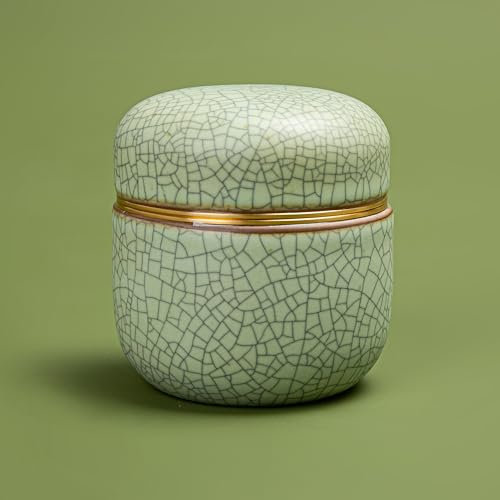 TEANAGOO Kleiner keramischer Matcha-Behälter | 2,8 oz tragbarer Aufbewahrungsbehälter, doppelt versiegelt mit Aluminium-Deckel, Frischegarantie für 18g Matcha, X6 Lt.grün mit schwarzer Naht