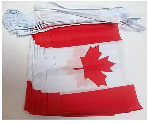 AZ FLAG - Fahnenkette Kanada 6 Meter Mit 20 Flaggen - 21x14 cm - Kanadische Girlande Flaggenkette 14 x 21 Cm
