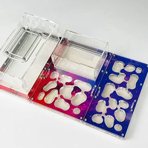Großes Verbindungsausdehnungskasten Antennennest Arbeitswerk Haushalts Antfarm Natürliche Ameisenfarm 31x19x8cm Acryl unbegrenztes Verbindungsset Ameise Formicarium (A)