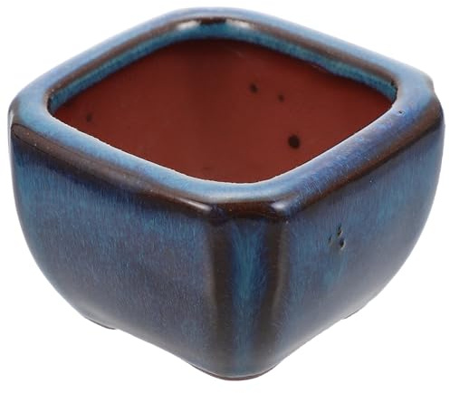 Yardenfun Maceta de Arena Morada para Plantas Suculentas y Flores Pequeñas, Macetero Creativo de Porcelana Orificio de Drenaje para Decoración Hogar