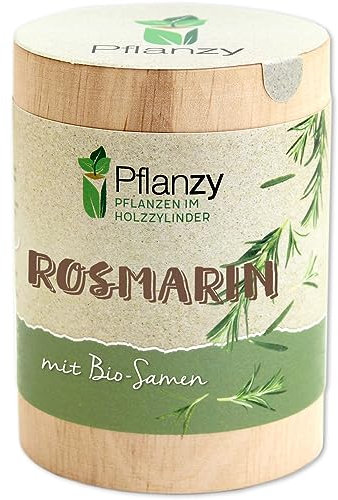 Feel Green Pflanzy Rosmarin, Bio Samen, Nachhaltige Geschenkidee (100% Eco Friendly), Grow Your Own/Anzuchtset, Pflanzen im Holzzylinder, Made in Austria