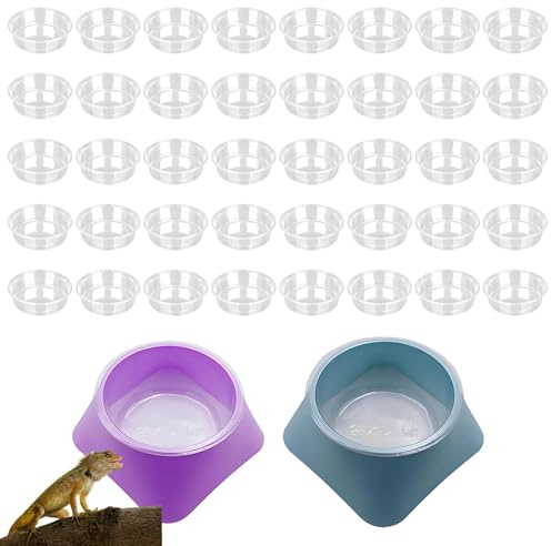 HAOXIZI 40 Pcs Reptile Food Bowls, with 2 Racks, Plastic Bowls, Reptile Food Dish, Plastic Transparent Feeder, Disposable, for Lizard, Little Bird, Small Pet Ledge Accessories