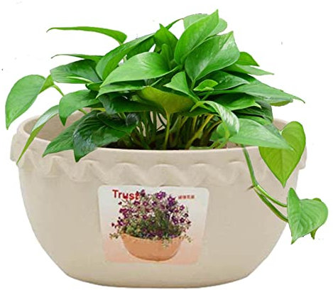 Rosixehird Vaso per Tubo da Giardino,Fioriera con drenaggio | Fioriera da Parete sospesa a Forma di Pizzo con griglia di infiltrazione da Appendere Facilmente per la Cucina del Balcone del Giardino