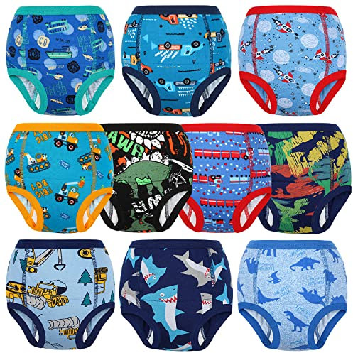 FLYISH DIRECT Töpfchen Trainingshose, Packung mit 10 Töpfchentraining Unterwäsche, 2-9 Jahre Töpfchen-Trainingshosen für Kinder Jungen und Mädchen, 100/3T