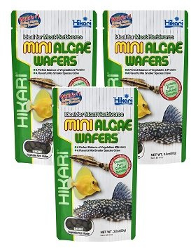 (3 Pack) Hikari USA Inc Mini Algae Wafers 3 -Ounce Each