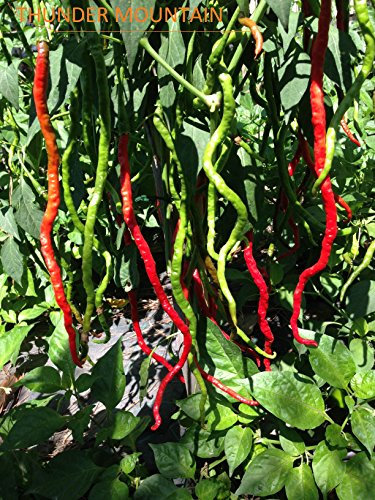 SEMI PEPERONCINO-I PIU' STRANI-