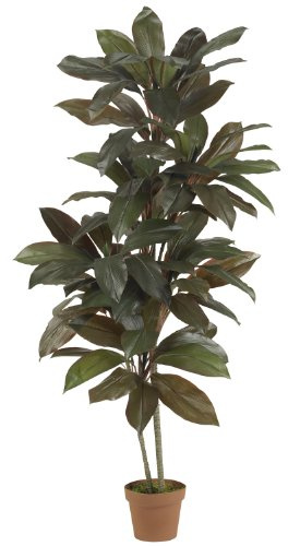 Nearly Natural 5ft. Cordyline Silk Plant (Real Touch)