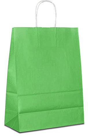 Papiertüten grün mit Kordel-Henkel I 100 Stk. 22+10x28cm I Papiertragetasche für Einzelhandel, Weihnachten, Mitbringsel, TO-GO I Geschenktüten aus Kraftpapier I HUTNER