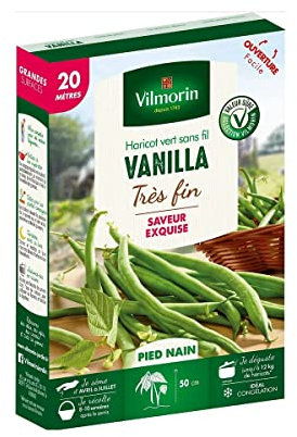 Vilmorin - Graines de Haricot vert sans fil VANILLA - 20 mètres
