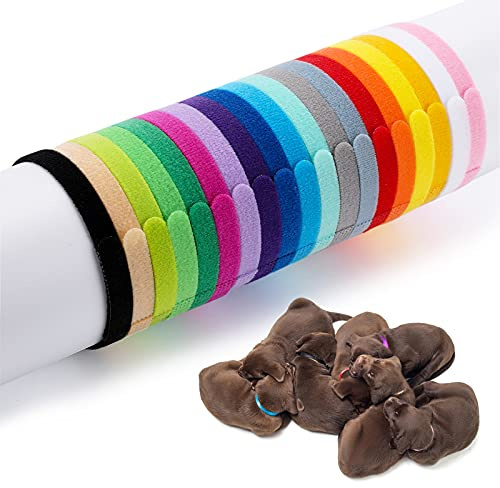 Molain 20 Pezzi Collari per Cuccioli di Piccola Taglia, Fasce Identificative per Cani, Collari per Neonati (30 cm)