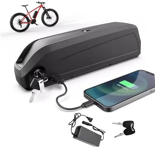 Batteria E-Bike 48V 20Ah al Litio con Caricatore e Porta USB, Batteria per Bici Elettrica per Motori 250W/500W/750W/1000W, Compatibile con Kit di Conversione Bafang, AW e Altri (36V 26AH)