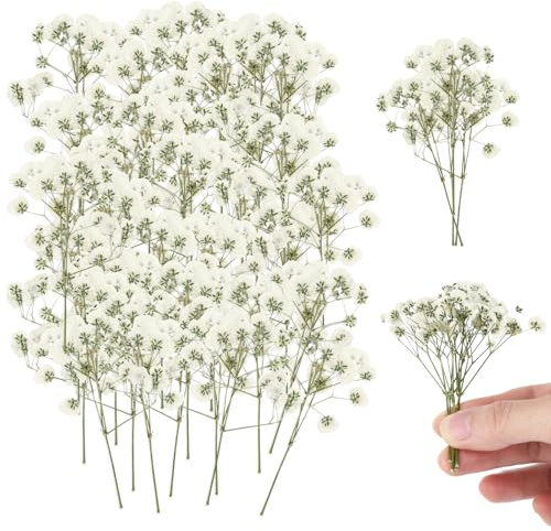 150 Piezas Paniculata Preservada, Flores Secas Manualidades, Flores Secas Decoracion, Blanca Flores Prensadas Secas para Marcos de Fotos, Marcapáginas, Tarjetas de Felicitación, Joyería de Resina