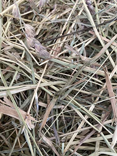 Generisch Heu Knabberheu grob für Pferde Kaninchen 15kg