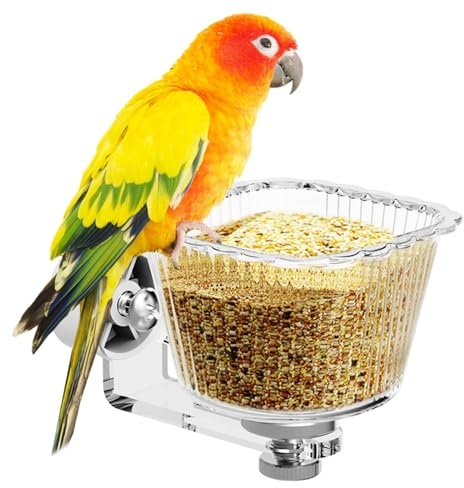 Transparente para Aves | Plato Transparente Antisalpicaduras - Plato para Alimento de Pájaros | para Jaula, Comida Y Agua para Cacatúa, Conuro, Periquito, Pinzón, Agapornis Y