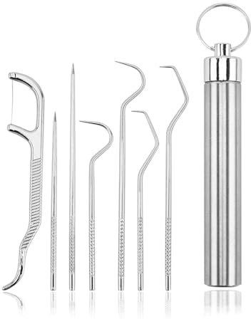 YiYFiT 7Pcs Food Grade 304 Stainless Steel Toothpick Set，Silver Portable Pocket Toothpick Holder Reusable Metal Toothpick with a Tube for Outdoor Picnic Camping and Travel