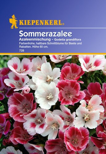 Sperli Blumensamen Sommerazalee Godetia Mischung, grün