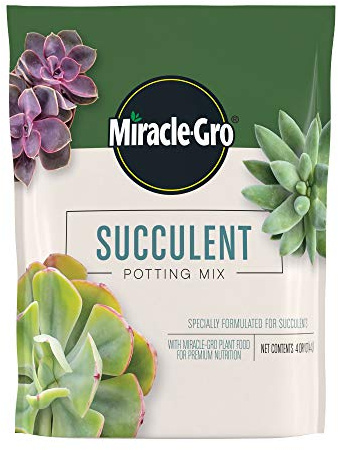 Miracle-Gro Succulent Potting Mix, 4 qt.