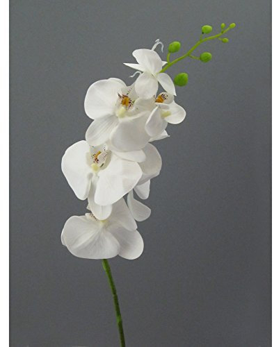 creativ home Kunstblume, PHALENOPSIS 86 cm. Orchidee, Orchideentrieb in WEISS-40