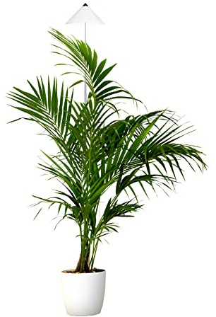 Parus by Venso Lampe à plantes SUNLiTE XL 25W blanc, lampe de croissance LED avec tige télescopique, lampe de croissance pour plantes d'intérieur et plantes vertes