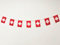 Lot de 40 drapeaux de la Suisse, guirlande suisse de 11,4 m, fanions de la Suisse, drapeaux nationaux européens, 14 x 21 cm, barres décoratives