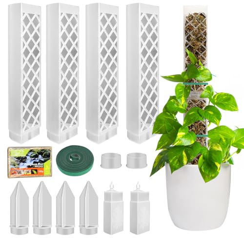 Tuteur Sphaigne, Tuteur Monstera Tuteur Plante Interieur, 4 Pièces Tuteur Plante Grimpante 35cm(Moss Pole+Insertion à la Terre) + 150g Sphaigne, Maison Monstera Jardin Plante Grimpantes Extension