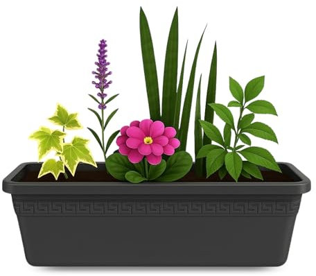 TECHZOCO Jardinera de plástico sin Plato, Balconera plástico, Macetero Jardín, Fabricado en Polipropileno, Apto balcón, Patio, Interior/Exterior, 60 cm Largo x 16.5 cm Alto x 18 cm Fondo, Antracita