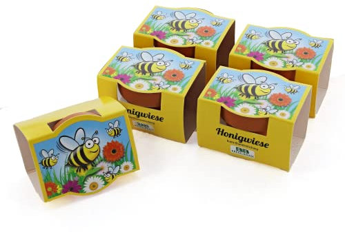 Bull & Bear 5er Set Mini-Pflanzset Honigwiese, 5x Blumensamen im Topf 4,5cm, Blumenmischung als Anzuchtset mit Pflegeanleitung