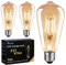 Edison Light Bulb, 4W LED Vintage Bulbs E27, Retro LED Filament Bulb Amber Glass Edison Screw Lamp ST64, 400LM 2700K Warm White - 3 Pack